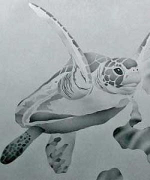 Architectural Etched Glass Artworks by Jay Hoyt Curtis