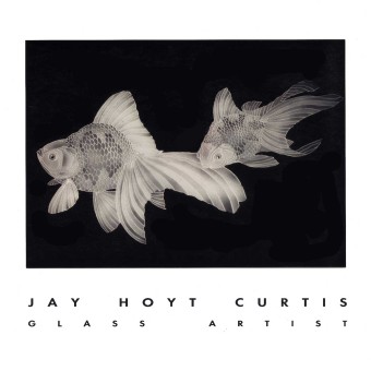 This one is entitled Etched Glass Fan Tail Fish on Black Glass