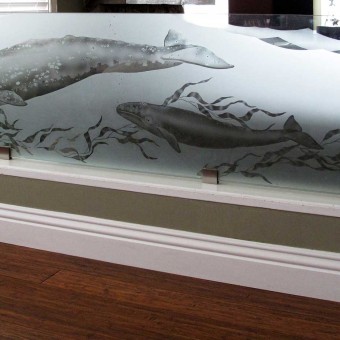 Migrating Gray Whales  Etched Glass Room Divider Panel