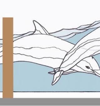 Cast and Etched Glass Dolphin privacy wall