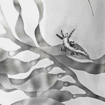 03-etched-glass-marine-life-nudibranch-closeup